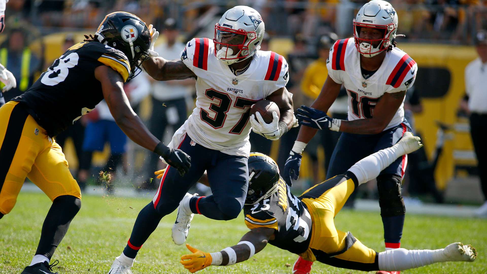 在职业生涯 在职业生涯