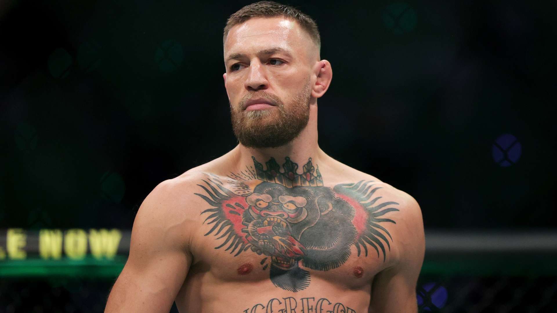 自己辩护 自己辩护