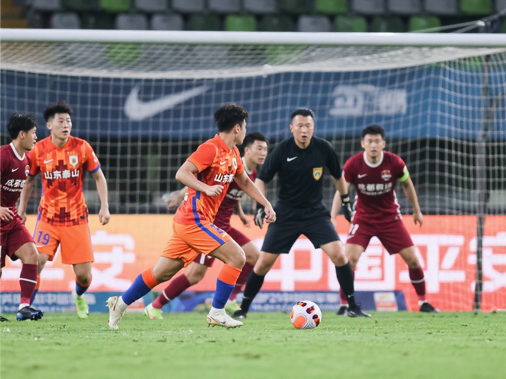 径打击侵权 径打击侵权